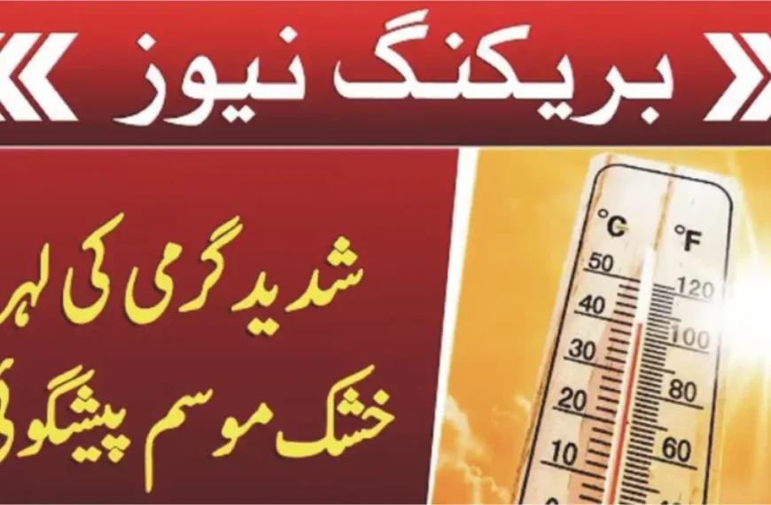 Extreme Heat In Punjab Likely from April — How It Will Impact You