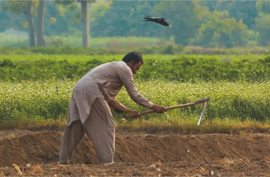 Punjab Launches Apna Khet Apna Rozgar 2026, Registration Start and End Dates Announced