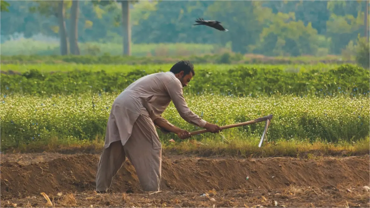 Punjab Launches Apna Khet Apna Rozgar 2026, Registration Start and End Dates Announced