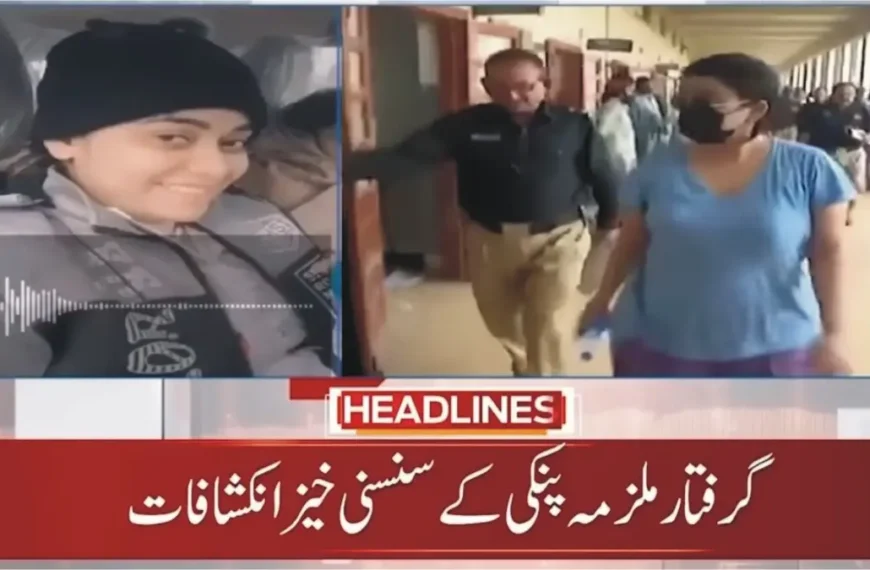 'Rok Sako To Rok Lo' — Drug Lord Pinki Viral Audio Leak Taunts Police After Karachi Arrest