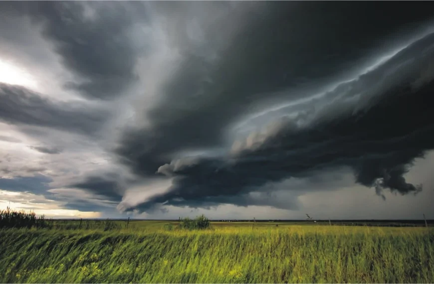 PMD Issues Rain Alert For Punjab, Kashmir and KP, Weekly Weather Breakdown
